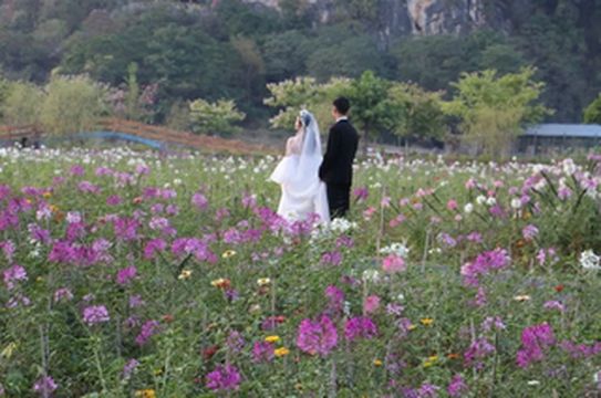 清远旅游,浪漫不分年龄!到乡村生活,和最爱的TA体验浪漫七夕!