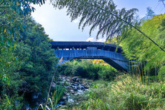 景宁游记图片] 廊桥之乡，山水景宁：丽水景宁怎么玩，就看看我这篇攻略吧！