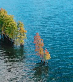 巍山古城游记图文-有一种生活叫大理，来大理赴一场新生活的约