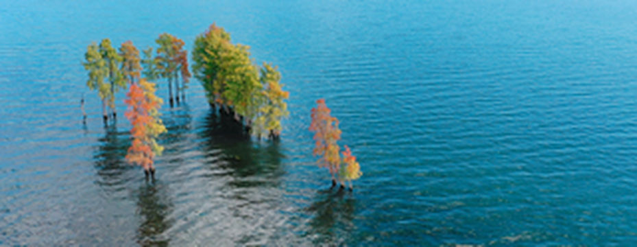 有一种生活叫大理,来大理赴一场新生活的约