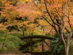 Rikugien Gardens