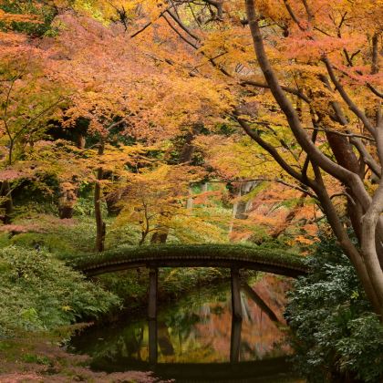 日本东京+奥多摩町+秩父市+轻井泽町6日5晚拼小团