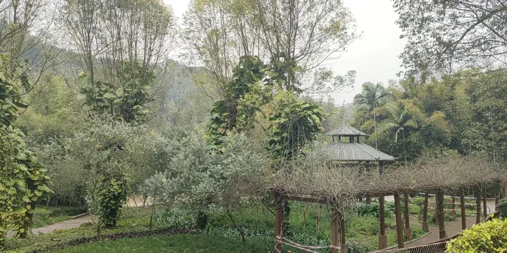永安旅遊