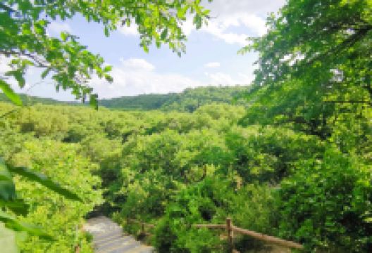 大清沟自然风景区景点图片