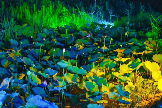拈花湾禅行表演
