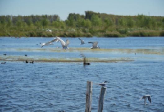 千鹤岛旅游风景区景点图片