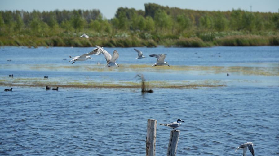 千鹤岛旅游风景区