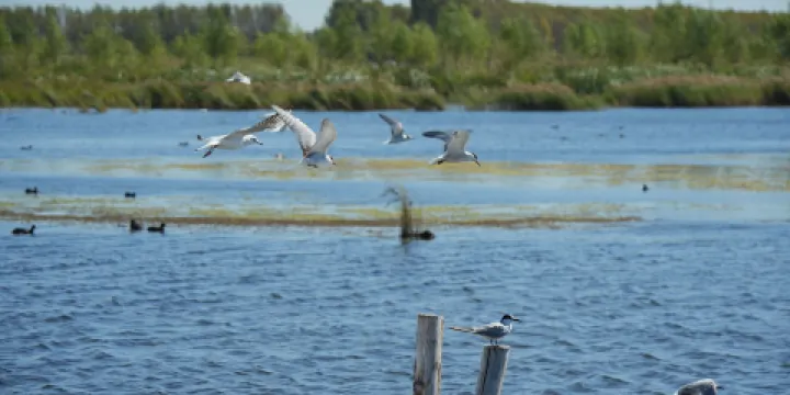 千鶴島旅遊風景區