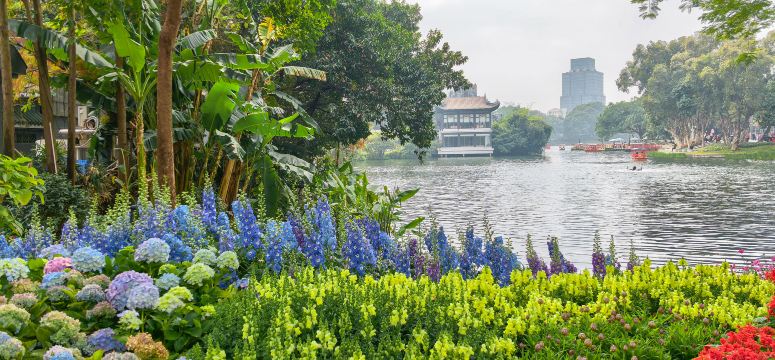 荔湾湖公园景点图片 15