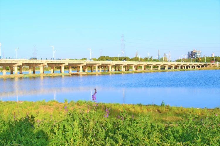 大黑河