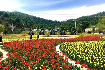 三峡奇潭