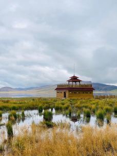 甘肃尕海则岔自然保护区-尕海湖-碌曲-88top