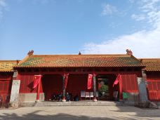 蒙城文庙-蒙城-大松树叶子