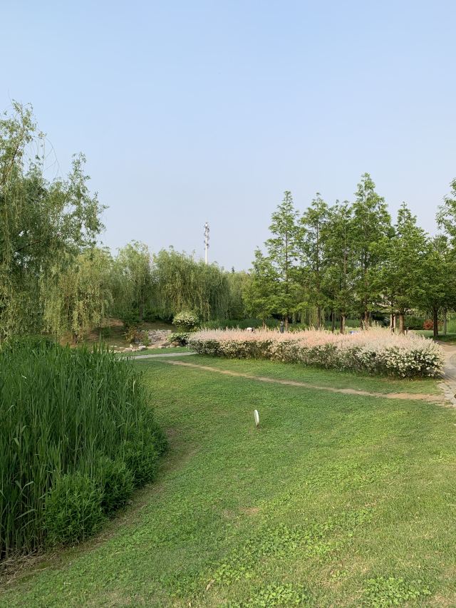 李村河生态全景示范园旅行图片 6