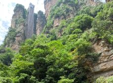 袁家界景区-张家界-世界美食游走达人