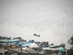 霞浦游记图片] Ke Ha Pu 去霞浦