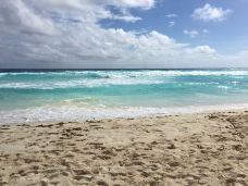 Playa Forum-坎昆-YoYo_5T8M8W5T