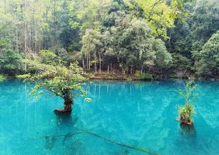 安徽去往贵州黔南州的3天2夜情侣自驾游攻略——荔波小七孔与荔波古镇