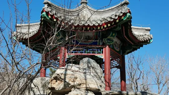 棗林公園