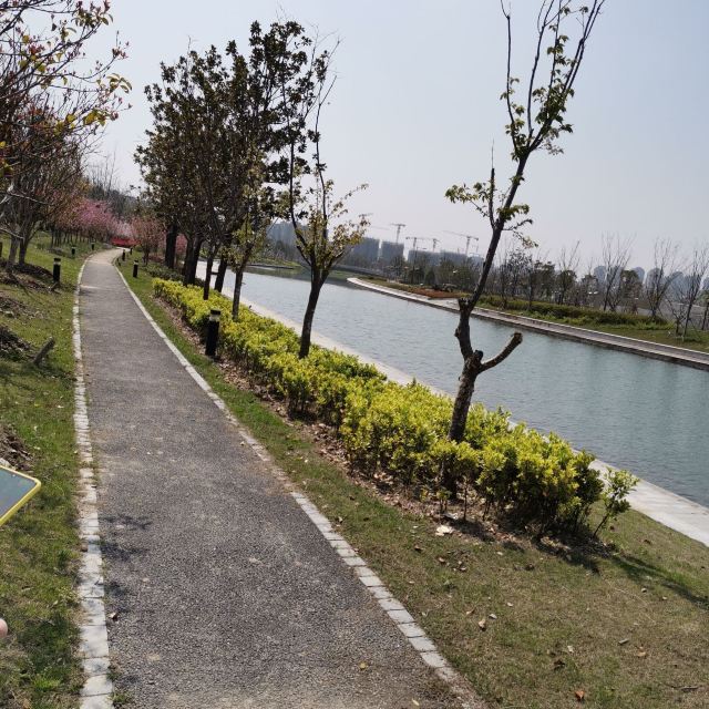 奉浦四季生态园旅行图片 2