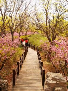国家植物园(原北京植物园)-北京