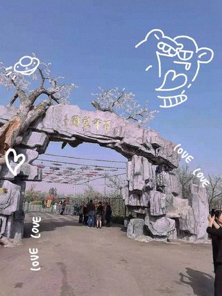 揣着一口袋的开心满载而归,还有定格的春天味道---丰县梨花节