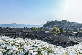 丽江古城超火爆民宿：以花为媒装饰环境，上房揭瓦能鸟瞰古城！