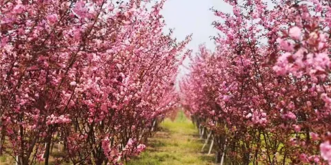 草河國家濕地公園
