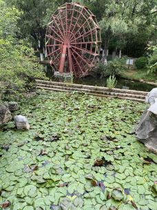 宝海公园-昆明-天空中的海绵