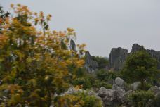 李子箐石林-石林-牛奶海