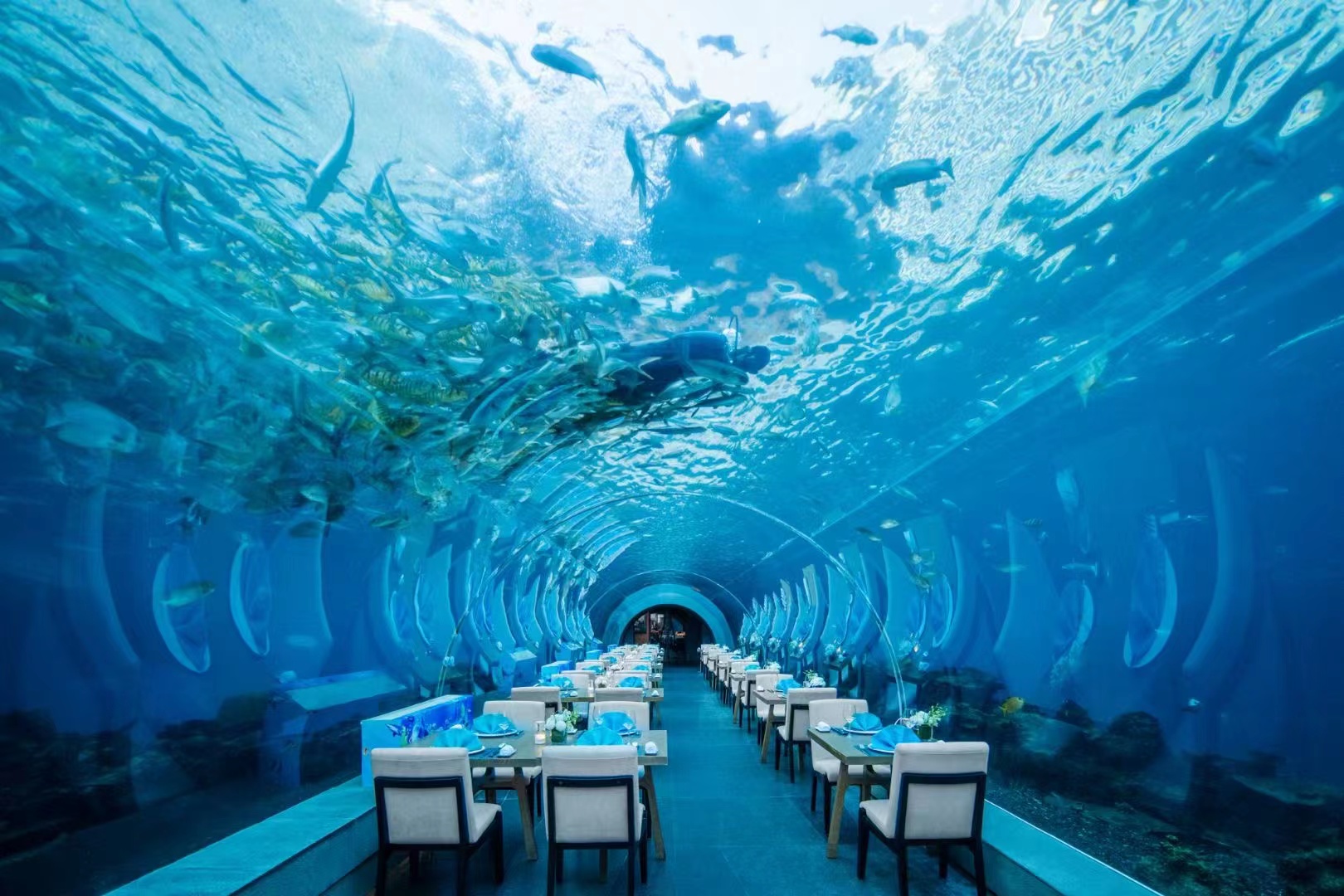 三亚海棠湾洲际度假酒店·涛·海底餐厅餐厅图片