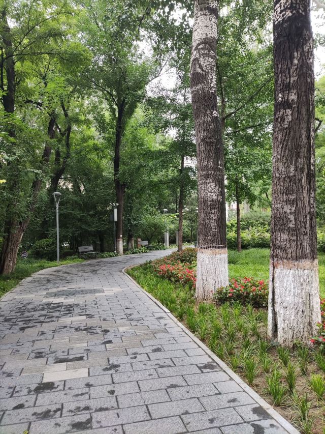 南馆公园旅行图片 2