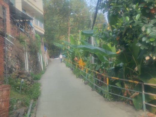 上清湾历史街区