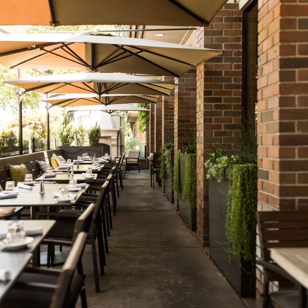 Zinfandel Grille餐厅图片