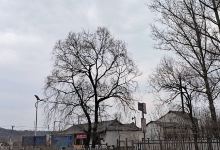 兴光朝鲜族民俗村景点图片