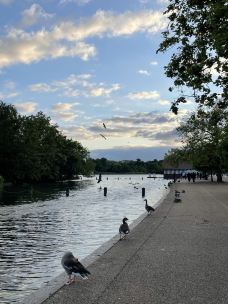 海德公园-伦敦-YoYo_4U8E3U0C