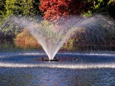 灯塔公园-西温哥华