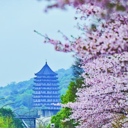 杭州西湖风景名胜区+苏州拙政园2日1晚跟团游