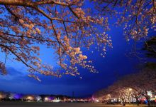 忠元公園景点图片