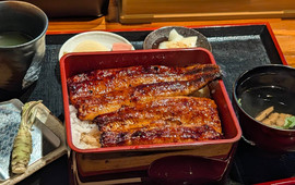Wasabi Unagi Tsujimura