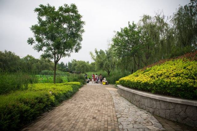 李村河生态全景示范园旅行图片