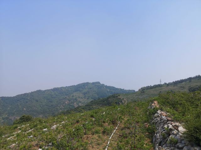 玫瑰谷旅行图片 2