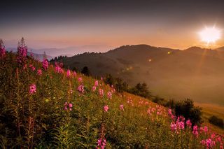 都热坏了?走,上岚皋找凉快去!