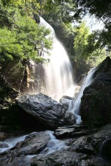 大围山国家森林公园-浏阳-chenweiwen