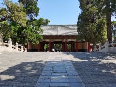 孔庙-曲阜-BetTerDAY