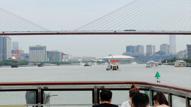 大桥公园旅行图片 2