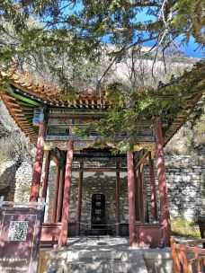 恒山-浑源-绿蚁新醅酒09