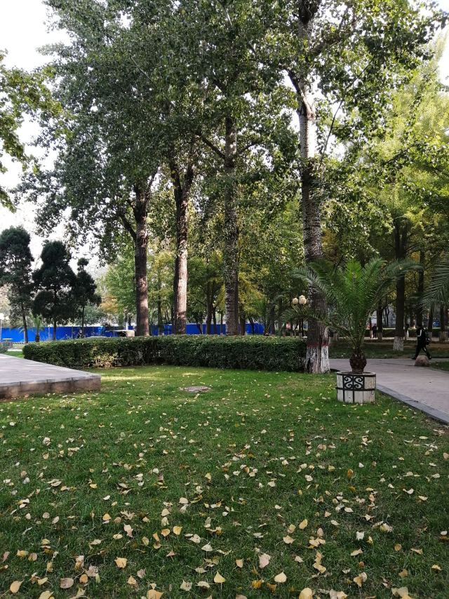 水上公园旅行图片 3