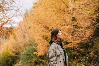 金秋十月，畅游醉美乡村公路、千年银杏树，留坝赏秋3天2晚实用攻略！