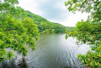 2人起私家团仙都景区鼎湖峰小赤壁朱潭山一日游丽水上门接送【所选城市市区免费上门接送，方便快捷，省时省力（时间可微调）】